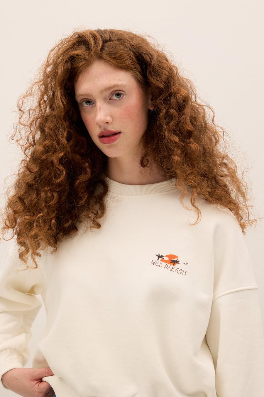 Cotton sweatshirt / 17 / 12 / country roads
