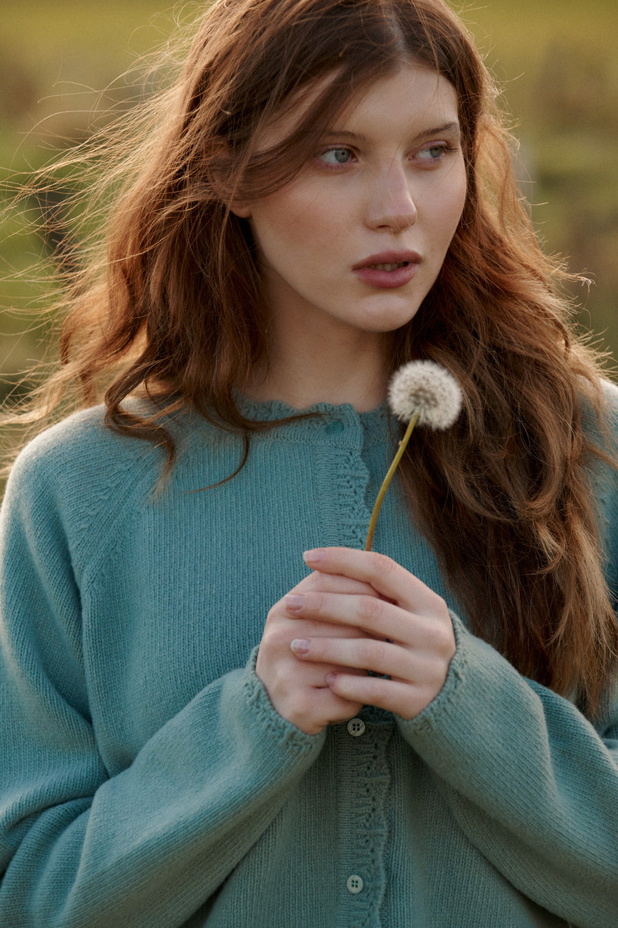 Cardigan in wool / 16 / 15 / soft sage