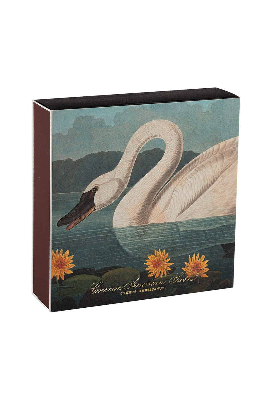 Matches / American Swan
