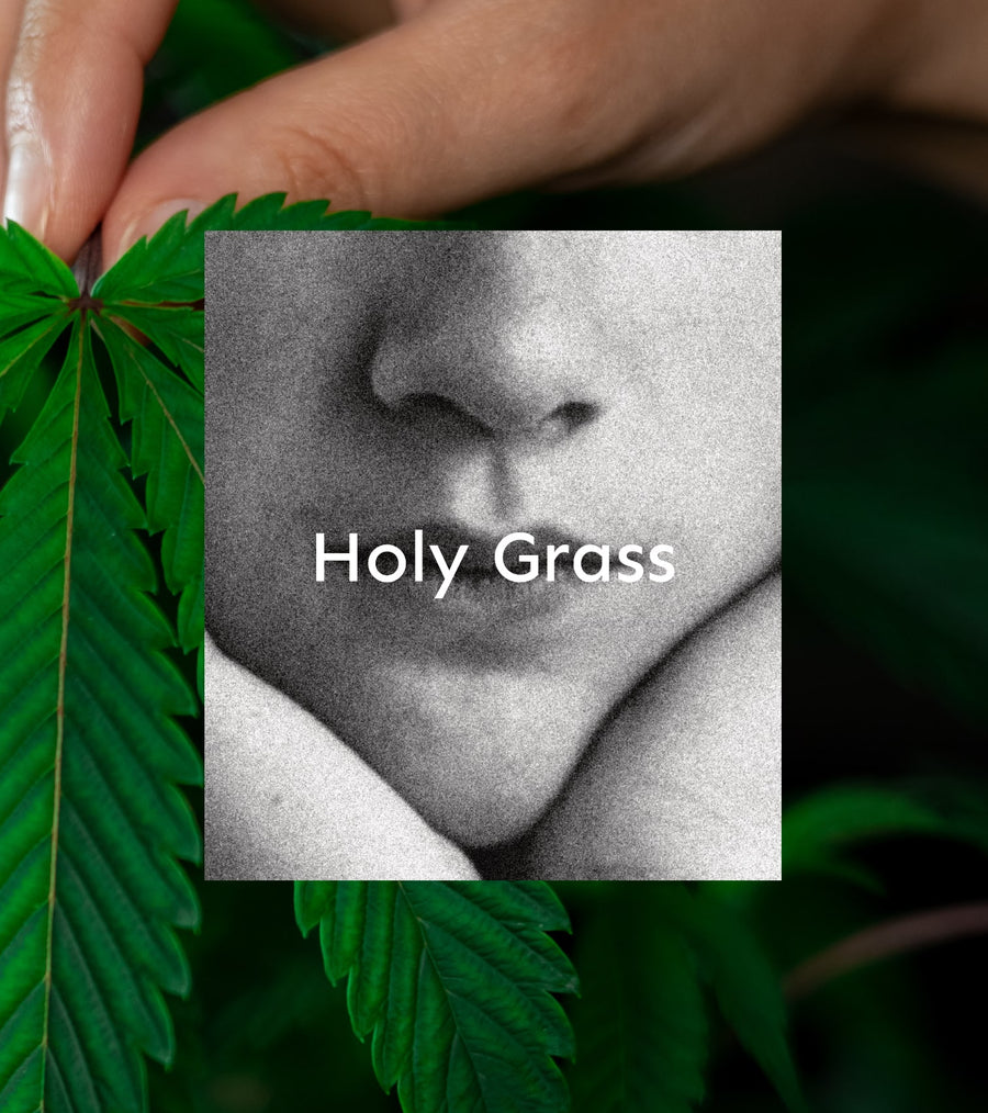 Soy candle - Holy grass